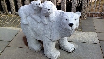 Isbjørne i Fredericia